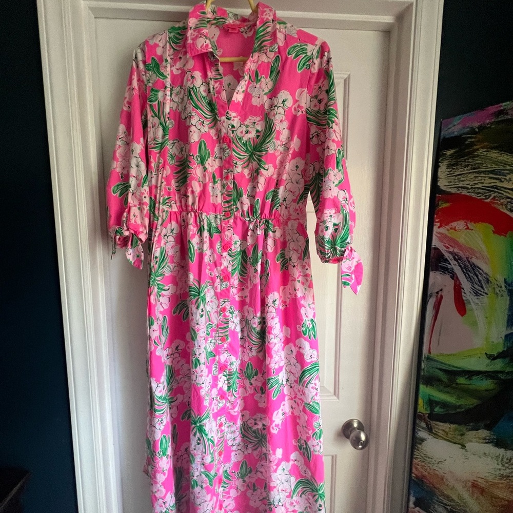 Lilly Pulitzer dress! Excellent used condition - only worn for a couple of hours